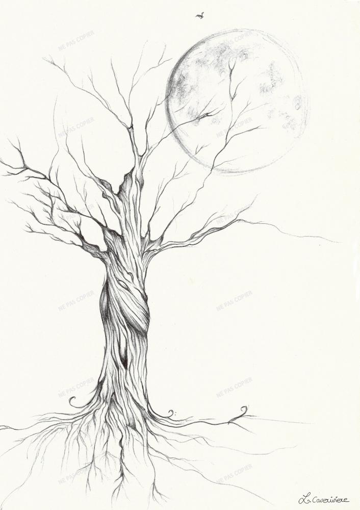 Arbre lune