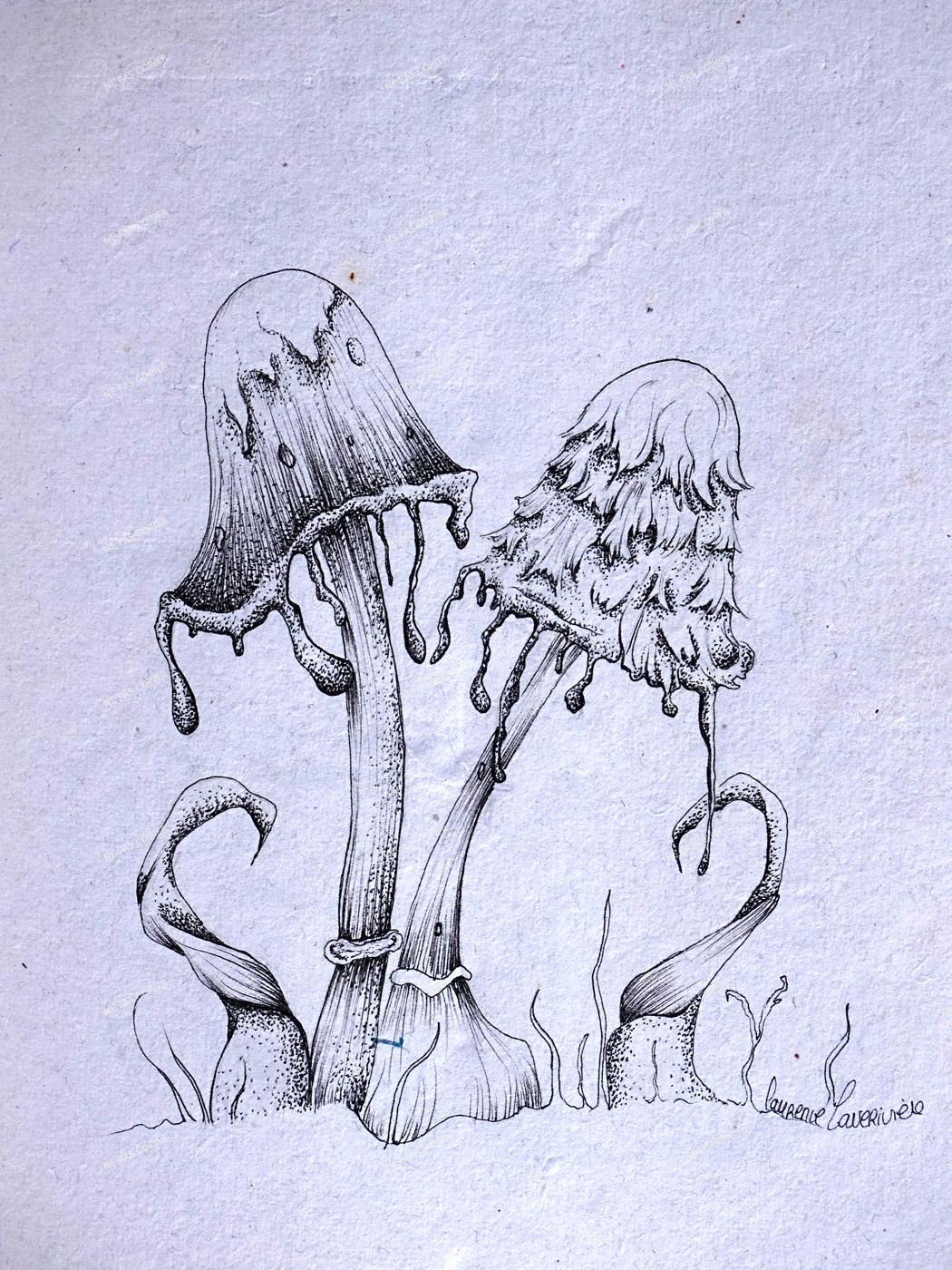 Champignon