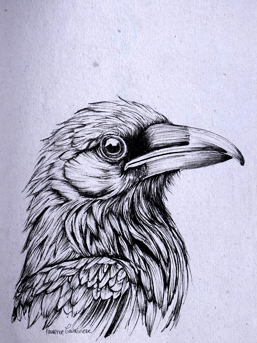 Corbeau