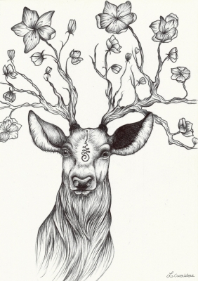 Cerf