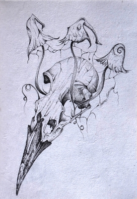 Crâne