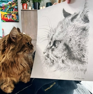 Le chat