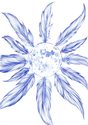 Plumes