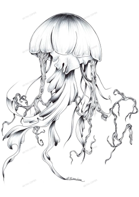 Medusa